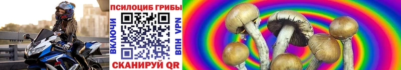 купить  сайты  Инсар  нарко площадка телеграм  Галлюциногенные грибы MAGIC MUSHROOMS 
